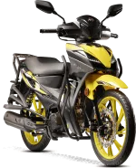 Motolux Africa Wolf 2 Motosiklet