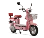 Go 55 Elektrikli Motosiklet
