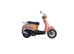 FALCON TURTLE 50